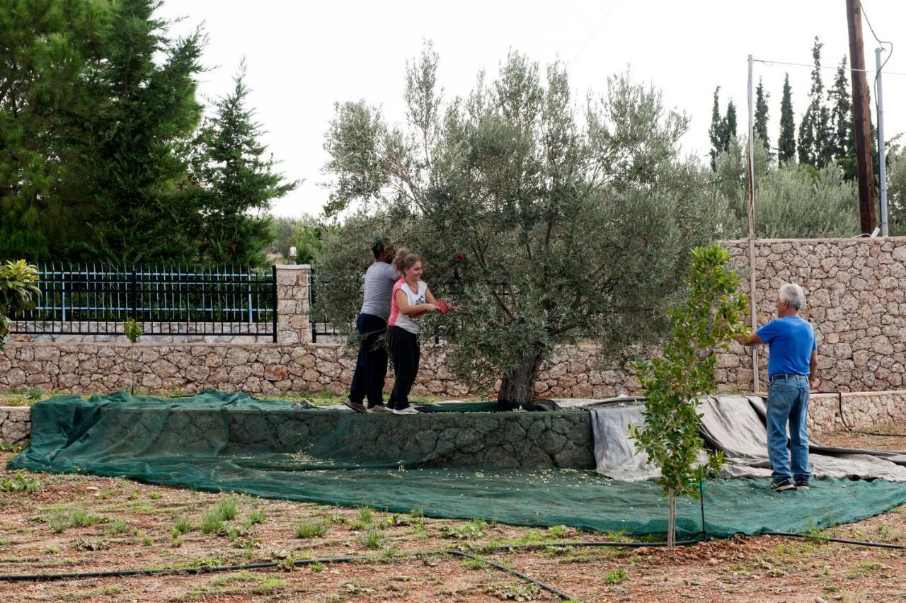 פורטו הלי Villa Hermes מראה חיצוני תמונה